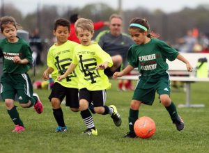 Entrenamiento Personalizado