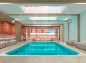 zajari_pisicna2_baja_f